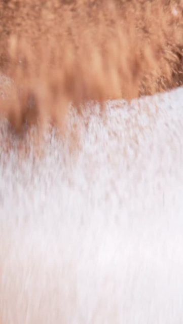 Can you guess what’s coming?👀 Stay tuned!❄️
#coffeebean #panama #thecoffeebean #seasonal #sneakpeek #holiday #staytuned