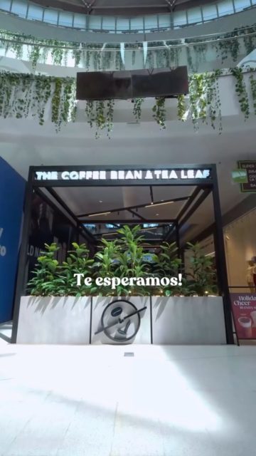 Nos extrañaste? Nosotros también💜 Ya puedes visitar nuestra sucursal de Altaplaza, ahora más grande, moderna, cómoda y acogedora para tí🫰🏼 Te esperamos!

#coffeebean #nowopen #coffeeshop #happyholidays #coffeelovers