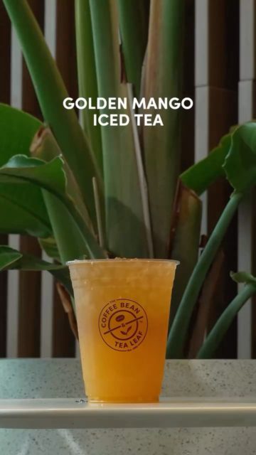 Cuál es tu go-to Chilleaté drink? No wrong answers😎🤤

#coffeebean #panama #summer #icedtea #verano