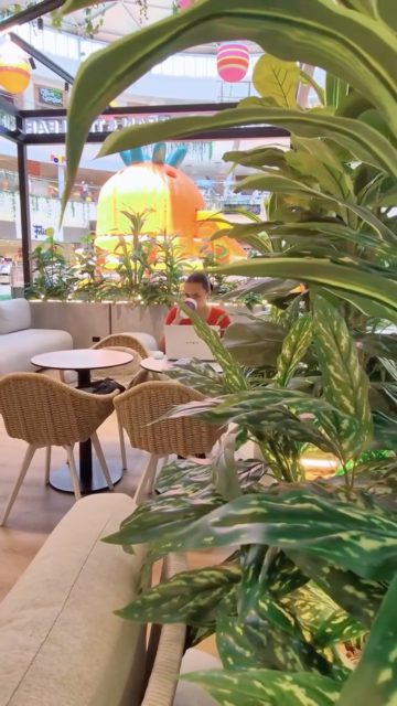 Sábado de shopping? Tenemos el spot perfecto para tu break 🤏🏼🙂‍↕️

📍Altaplaza

#coffeebean #panama #shopping #coffeebreak #coffeelovers